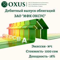Дебютный выпуск облигаций